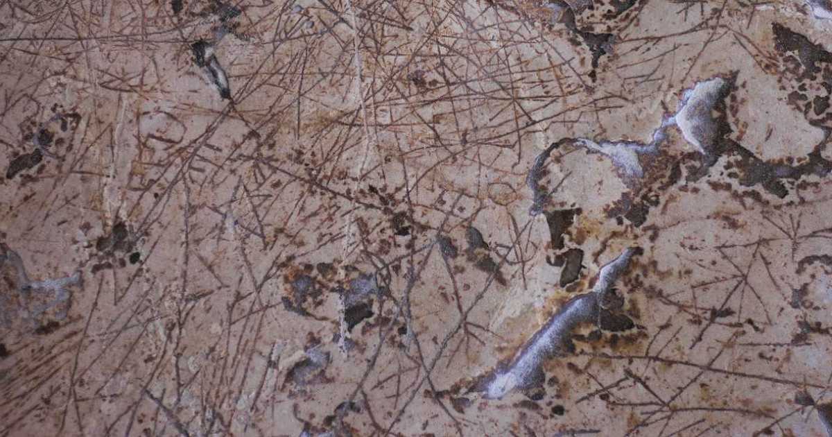 Spinazzola, quel "racconto" inciso 5mila anni fa su una roccia: �Sito unico, ma non tutelato�